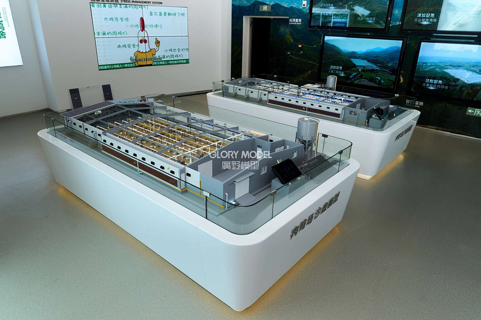 Factory Layout Model of Chicken Farm by Sunner Gruop Factory Layout Model of Chicken Farm by Sunner Gruop